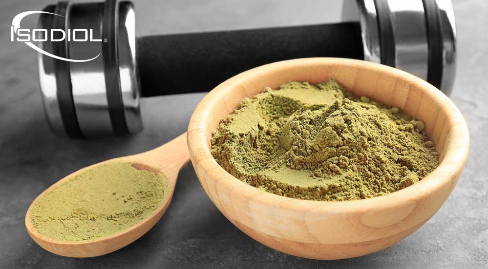 Hemp Protein: What You Need to Know