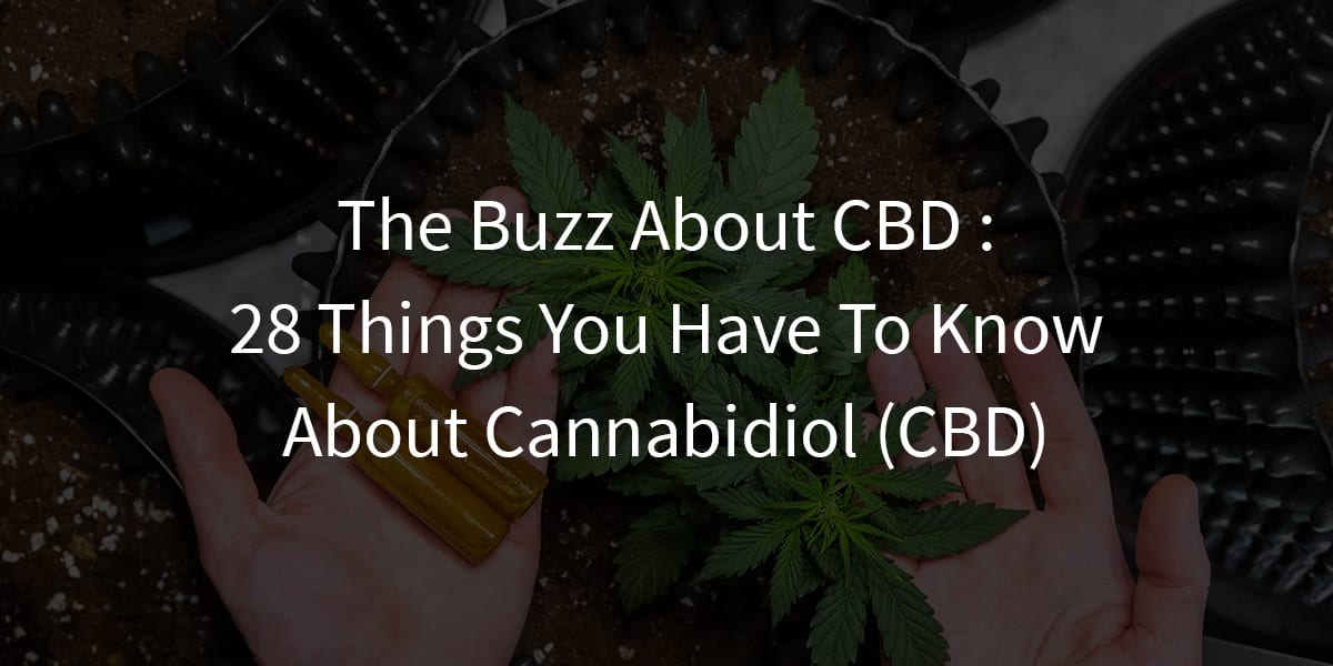 The Buzz About CBD : 28 Things You Have To Know About Cannabidiol (CBD)